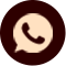 WhatsApp Icon
